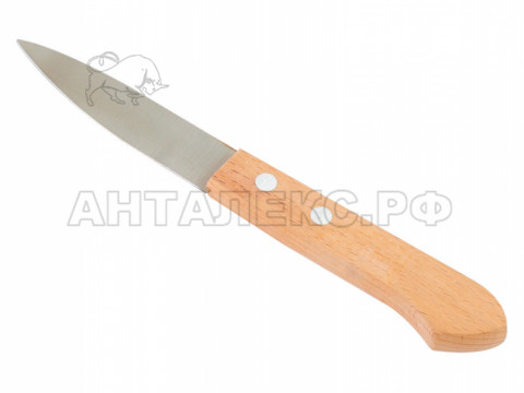Нож овощной с деревянной ручкой 195/90мм
