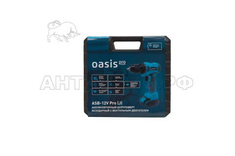 Аккумуляторный шуруповерт Oasis ASB-12V PRO (J)