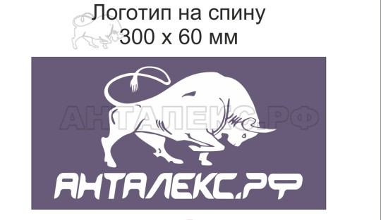 Логотип большой 30х6 на спину