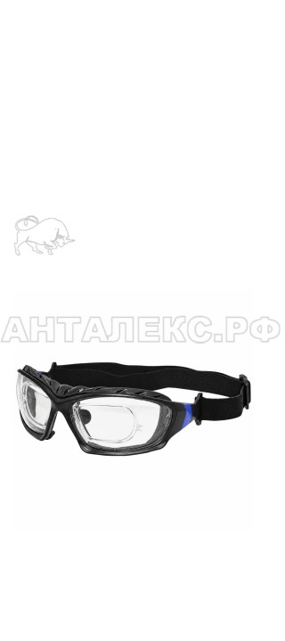 Очки защитные закрытые ARCTIC norlh
