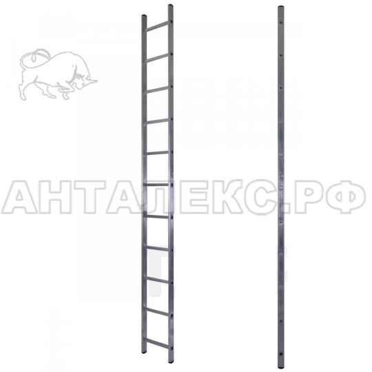 Лестница STAIRS 1секц.  1х11 ступеней алюминий
