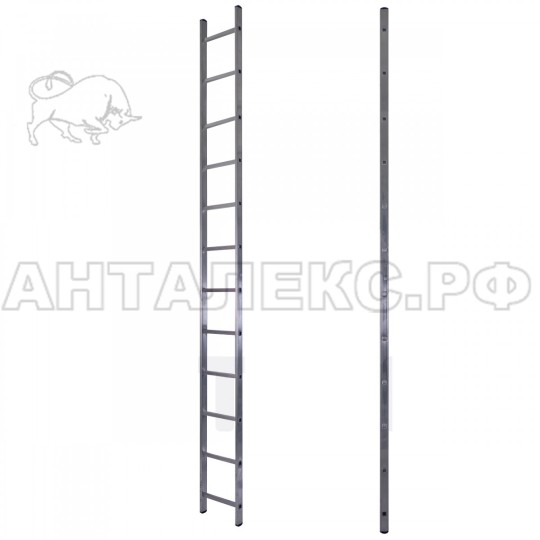 Лестница STAIRS 1секц.  1х12 ступеней алюминий