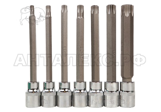 Набор головок Sturm!, 3/8" 110мм TORX 7шт T20-60 в кейсе СrV