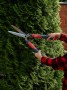 Ножницы ELITECH Garden GHS01, для живой изгороди , код 206420